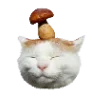 🧘‍♀️