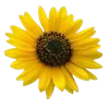 💐