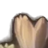 ⭐