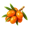 🍒