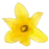 💐