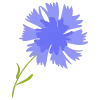 💐