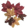 🍁