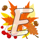 🍁
