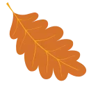 🍁