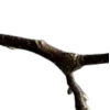 ⭐