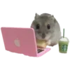 🐹