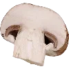 🍄