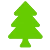 🌲