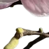 ⭐