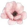 💐
