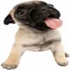 😋