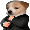😎