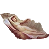 🐚