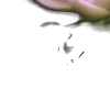 ⭐