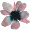 🌸