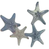 ⭐️