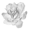 💐