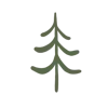 🌲