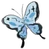 🦋
