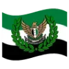 🇸🇾