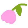 🌷