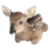 🦌