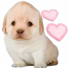 🥰