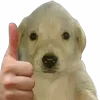 👍