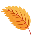 🍁