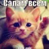 😄
