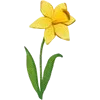 🌼