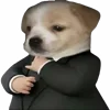 😎