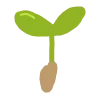 🌱