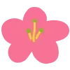 🌺