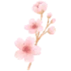 🌷