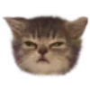 😠