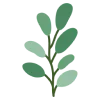🌿