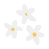 🌼