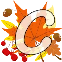 🍁
