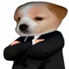 😎