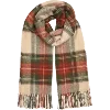🧣