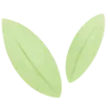 🍃