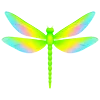 🦋