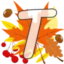 🍁