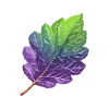🍃