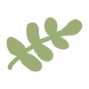 🌱