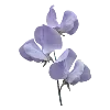 💜