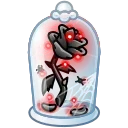 🌹