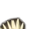 ⭐